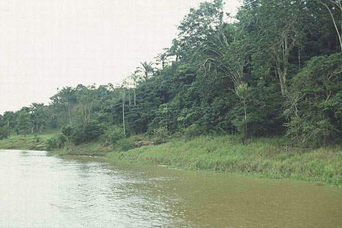 xingu river