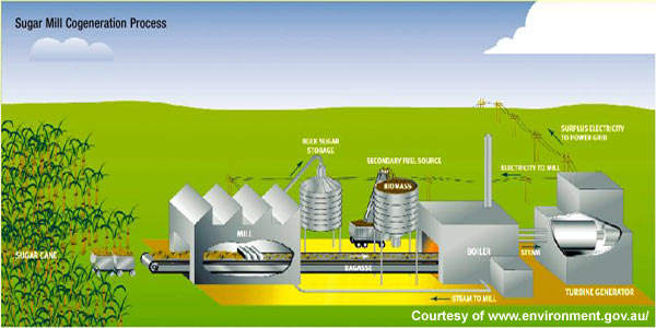 biomass power plant locations