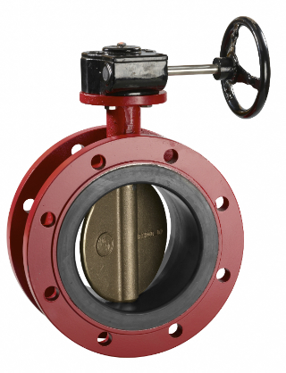 double flanged valve